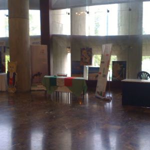 IMG 0230