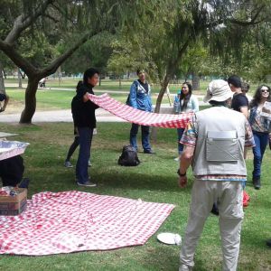 Picnic (30 Julio 2016)