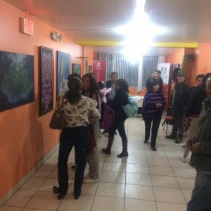 Muestra De Pintura Y Escultura De Integrantes Del Colegio De Artistas De Pichincha